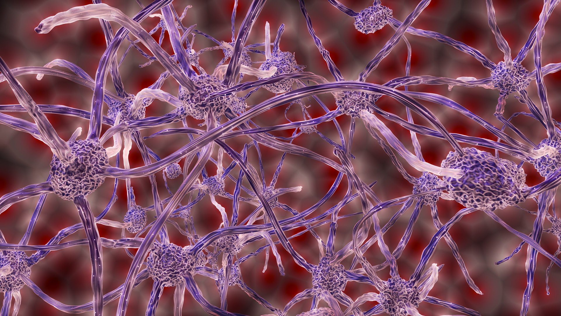 Basics of Immunohistochemistry