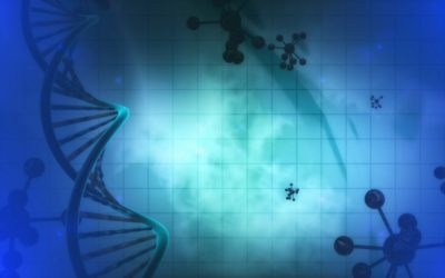 Molecular Biology Virtual lab | Basics of real time PCR