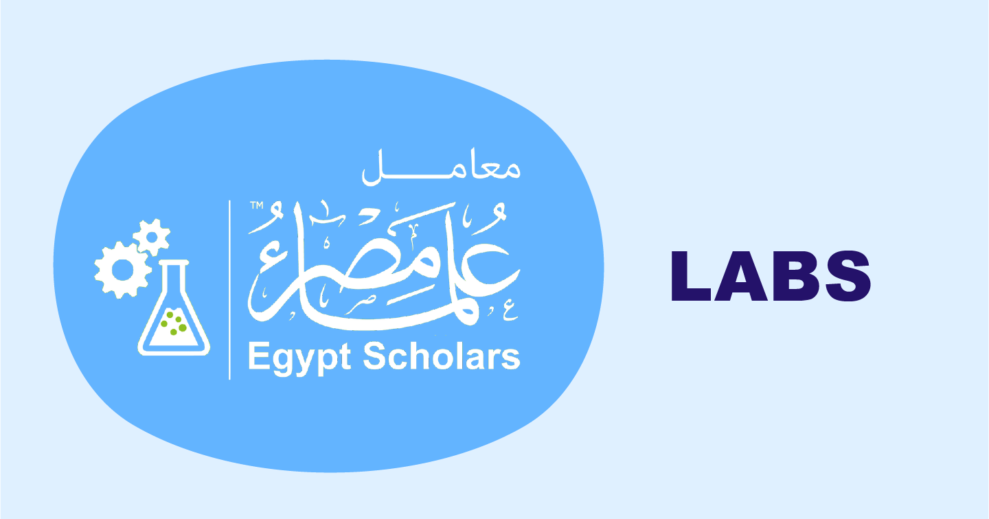 Labs Egypt Scholars